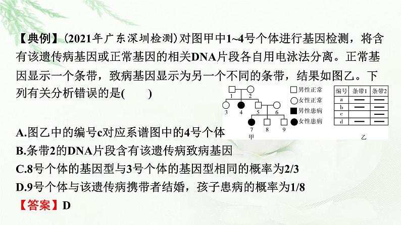 2024届高考生物一轮复习第五单元遗传因子的发现基因和染色体的关系热点专题6电泳图谱课件第5页