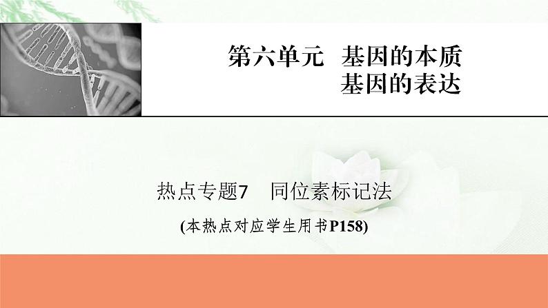 2024届高考生物一轮复习第六单元基因的本质基因的表达热点专题7同位素标记法课件第1页