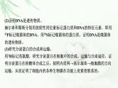 2024届高考生物一轮复习第六单元基因的本质基因的表达热点专题7同位素标记法课件