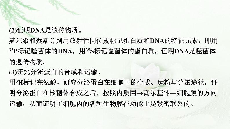 2024届高考生物一轮复习第六单元基因的本质基因的表达热点专题7同位素标记法课件第3页