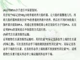 2024届高考生物一轮复习第六单元基因的本质基因的表达热点专题7同位素标记法课件