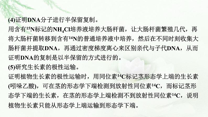 2024届高考生物一轮复习第六单元基因的本质基因的表达热点专题7同位素标记法课件第4页