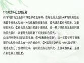 2024届高考生物一轮复习第六单元基因的本质基因的表达热点专题7同位素标记法课件