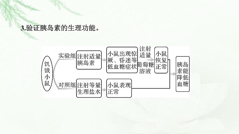 2024届高考生物一轮复习第八单元人和高等动物生命活动的调节热点专题9糖尿病与健康课件第4页