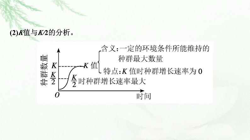 2024届高考生物一轮复习第十单元种群和群落热点专题10种群增长曲线分析课件第4页