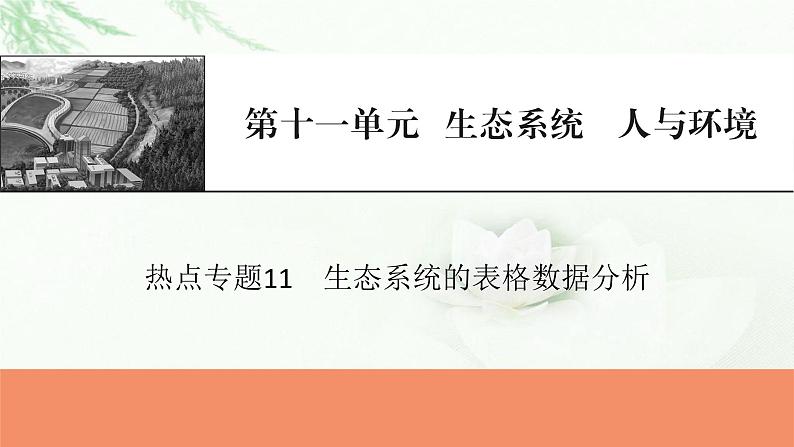 2024届高考生物一轮复习第十一单元生态系统人与环境热点专题11生态系统的表格数据分析课件01