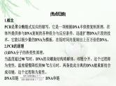 2024届高考生物一轮复习第十四章基因工程生物技术的安全性与伦理问题热点专题13PCR技术及其应用课件