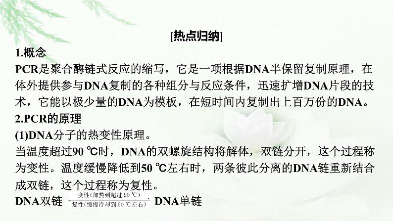 2024届高考生物一轮复习第十四章基因工程生物技术的安全性与伦理问题热点专题13PCR技术及其应用课件02