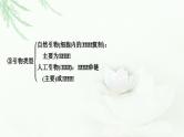 2024届高考生物一轮复习第十四章基因工程生物技术的安全性与伦理问题热点专题13PCR技术及其应用课件