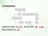 2024届高考生物一轮复习第一单元走近细胞组成细胞的分子第1讲走近细胞课件