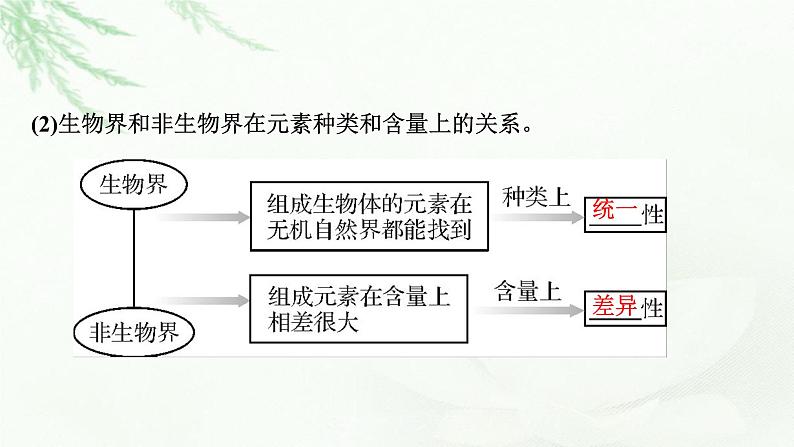 2024届高考生物一轮复习第一单元走近细胞组成细胞的分子第2讲细胞中的元素和化合物细胞中的无机物课件04