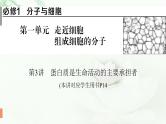 2024届高考生物一轮复习第一单元走近细胞组成细胞的分子第3讲蛋白质是生命活动的主要承担者课件