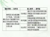 2024届高考生物一轮复习第一单元走近细胞组成细胞的分子第3讲蛋白质是生命活动的主要承担者课件