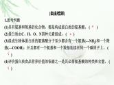 2024届高考生物一轮复习第一单元走近细胞组成细胞的分子第3讲蛋白质是生命活动的主要承担者课件