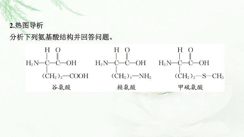 2024届高考生物一轮复习第一单元走近细胞组成细胞的分子第3讲蛋白质是生命活动的主要承担者课件第6页