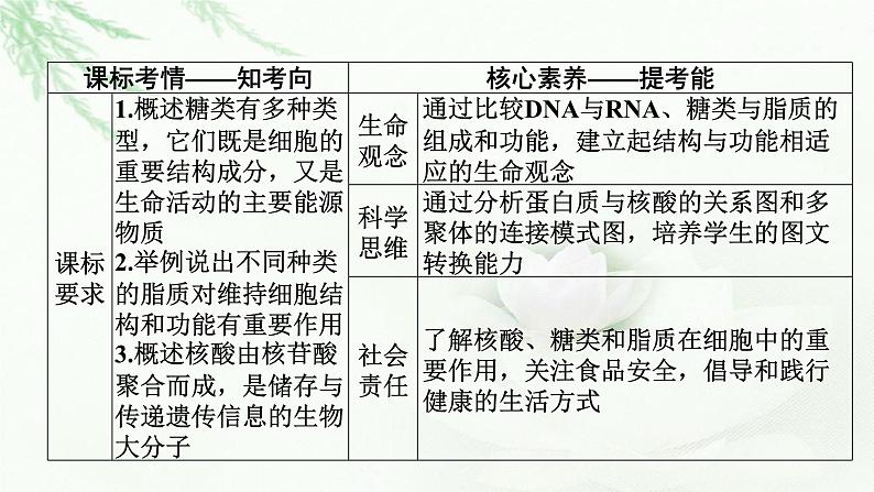 2024届高考生物一轮复习第一单元走近细胞组成细胞的分子第4讲核酸是遗传信息的携带者细胞中的糖类和脂质课件02