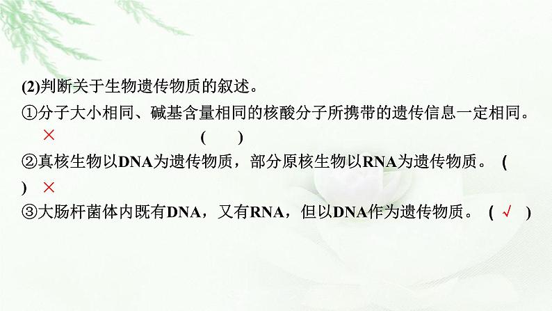 2024届高考生物一轮复习第一单元走近细胞组成细胞的分子第4讲核酸是遗传信息的携带者细胞中的糖类和脂质课件06