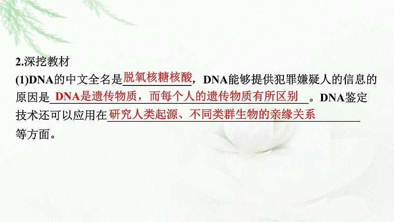 2024届高考生物一轮复习第一单元走近细胞组成细胞的分子第4讲核酸是遗传信息的携带者细胞中的糖类和脂质课件07