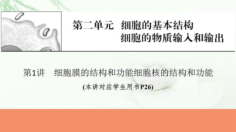 2024届高考生物一轮复习第二单元细胞的基本结构细胞的物质输入和输出第1讲细胞膜的结构和功能细胞核的结构和功能课件第1页