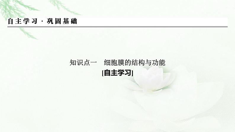 2024届高考生物一轮复习第二单元细胞的基本结构细胞的物质输入和输出第1讲细胞膜的结构和功能细胞核的结构和功能课件第3页