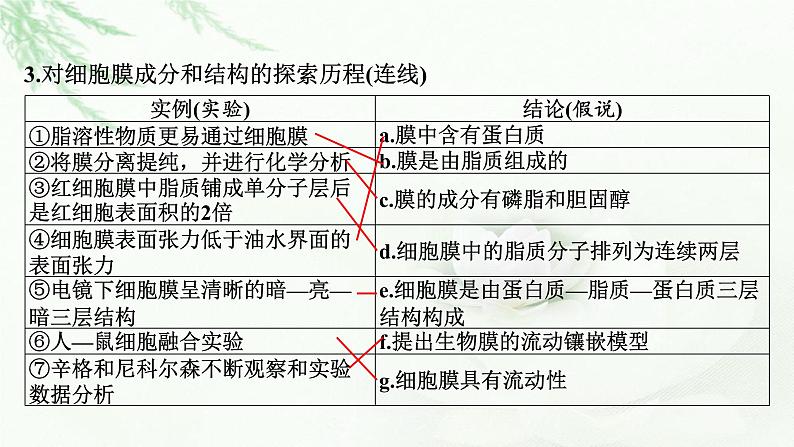 2024届高考生物一轮复习第二单元细胞的基本结构细胞的物质输入和输出第1讲细胞膜的结构和功能细胞核的结构和功能课件第6页