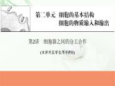 2024届高考生物一轮复习第二单元细胞的基本结构细胞的物质输入和输出第2讲细胞器之间的分工合作课件
