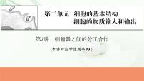 2024届高考生物一轮复习第二单元细胞的基本结构细胞的物质输入和输出第2讲细胞器之间的分工合作课件