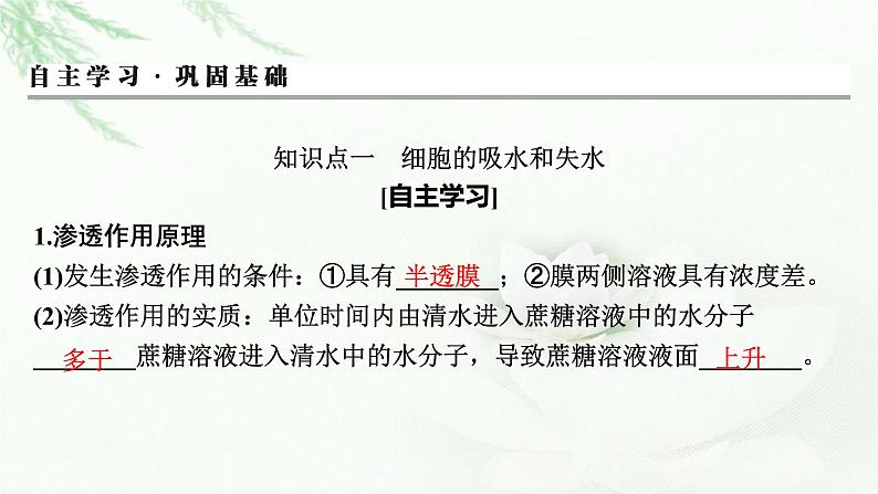 2024届高考生物一轮复习第二单元细胞的基本结构细胞的物质输入和输出第3讲细胞的物质输入和输出课件第3页