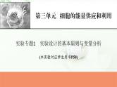 2024届高考生物一轮复习第三单元细胞的能量供应和作用实验专题1实验设计的基本原则与变量分析课件