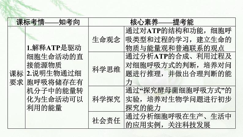 2024届高考生物一轮复习第三单元细胞的能量供应和作用第2讲细胞的能量“货币”ATP细胞呼吸的原理和应用课件02