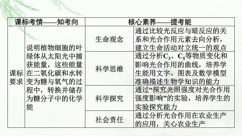 2024届高考生物一轮复习第三单元细胞的能量供应和作用第3讲光合作用与能量转化课件第2页