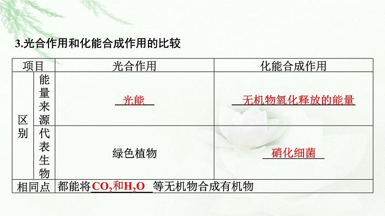 2024届高考生物一轮复习第三单元细胞的能量供应和作用第3讲光合作用与能量转化课件第8页