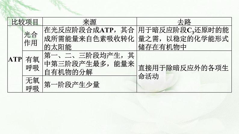 2024届高考生物一轮复习第三单元细胞的能量供应和作用第4讲光合作用与细胞呼吸的综合分析(提升课)课件第4页