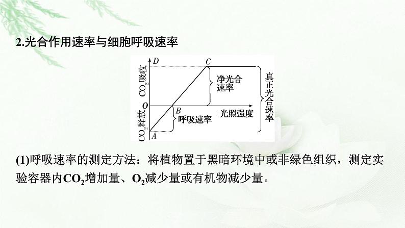 2024届高考生物一轮复习第三单元细胞的能量供应和作用第4讲光合作用与细胞呼吸的综合分析(提升课)课件第5页