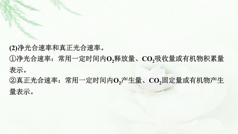 2024届高考生物一轮复习第三单元细胞的能量供应和作用第4讲光合作用与细胞呼吸的综合分析(提升课)课件第6页