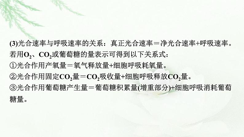 2024届高考生物一轮复习第三单元细胞的能量供应和作用第4讲光合作用与细胞呼吸的综合分析(提升课)课件第7页