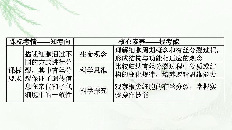 2024届高考生物一轮复习第四单元细胞的生命历程第1讲细胞的增殖课件第2页