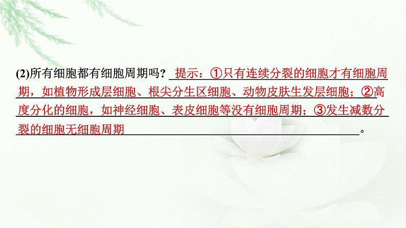 2024届高考生物一轮复习第四单元细胞的生命历程第1讲细胞的增殖课件第7页