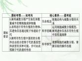 2024届高考生物一轮复习第四单元细胞的生命历程第2讲减数分裂和受精作用课件