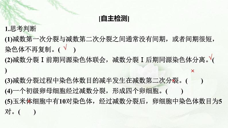 2024届高考生物一轮复习第四单元细胞的生命历程第2讲减数分裂和受精作用课件第7页