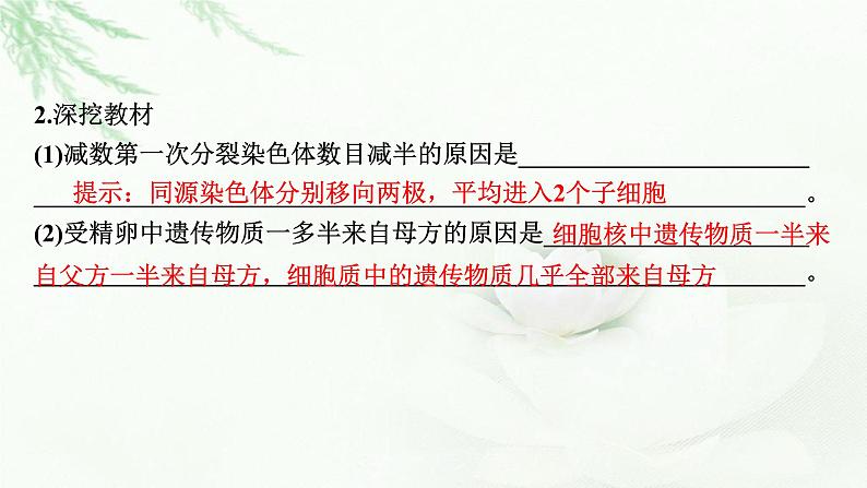 2024届高考生物一轮复习第四单元细胞的生命历程第2讲减数分裂和受精作用课件第8页