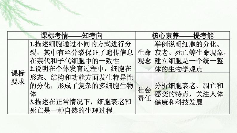 2024届高考生物一轮复习第四单元细胞的生命历程第3讲细胞的分化、衰老和死亡课件第2页