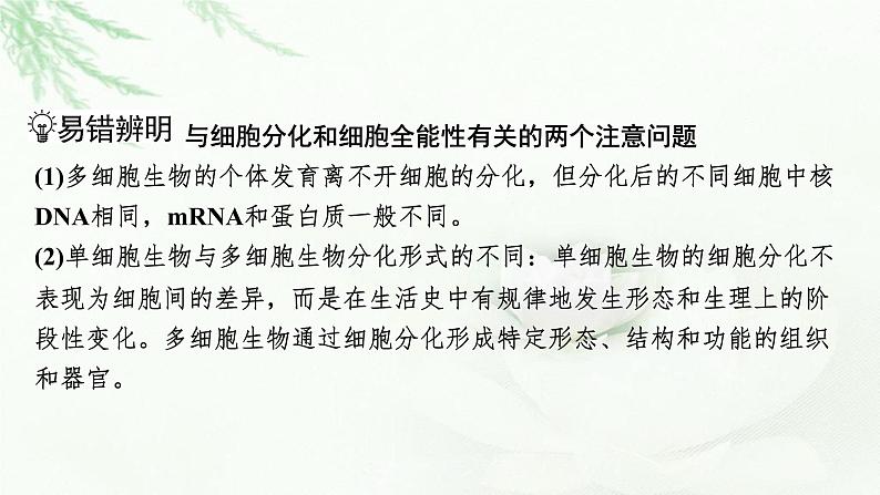 2024届高考生物一轮复习第四单元细胞的生命历程第3讲细胞的分化、衰老和死亡课件第6页