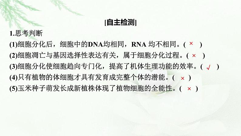 2024届高考生物一轮复习第四单元细胞的生命历程第3讲细胞的分化、衰老和死亡课件第7页