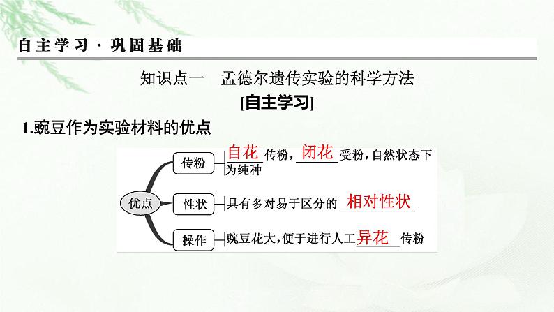 2024届高考生物一轮复习第五单元遗传因子的发现基因和染色体的关系第1讲孟德尔的豌豆杂交实验(一)课件第3页