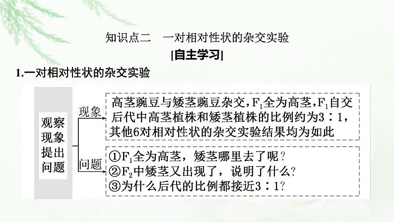 2024届高考生物一轮复习第五单元遗传因子的发现基因和染色体的关系第1讲孟德尔的豌豆杂交实验(一)课件第8页