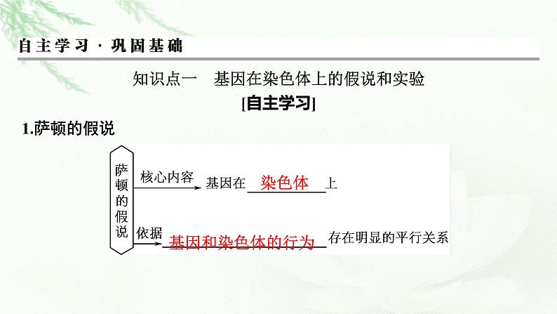 2024届高考生物一轮复习第五单元遗传因子的发现基因和染色体的关系第3讲基因在染色体上伴性遗传课件第3页