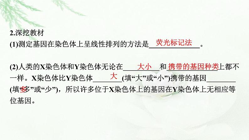 2024届高考生物一轮复习第五单元遗传因子的发现基因和染色体的关系第3讲基因在染色体上伴性遗传课件第7页