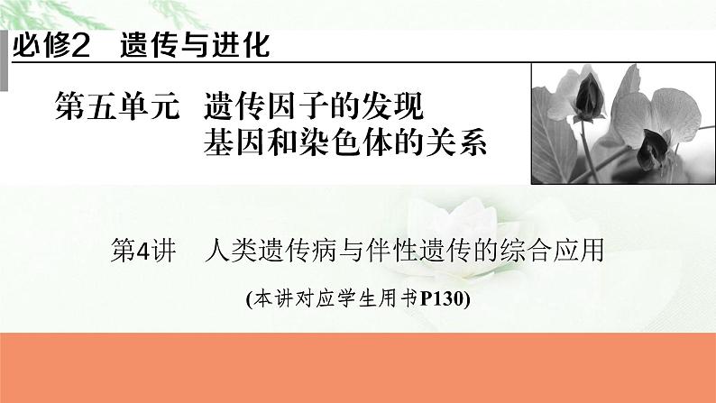 2024届高考生物一轮复习第五单元遗传因子的发现基因和染色体的关系第4讲人类遗传病与伴性遗传的综合应用课件第1页