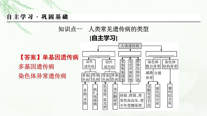 2024届高考生物一轮复习第五单元遗传因子的发现基因和染色体的关系第4讲人类遗传病与伴性遗传的综合应用课件第3页